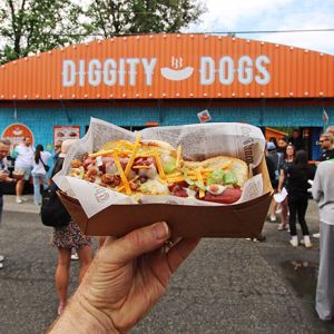 Diggity Dogs at the PNE