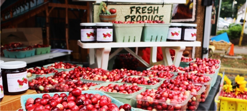 Cranberries for sale at a market vendor in Fort Langley