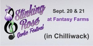 Stinking Rose Garlic Festival